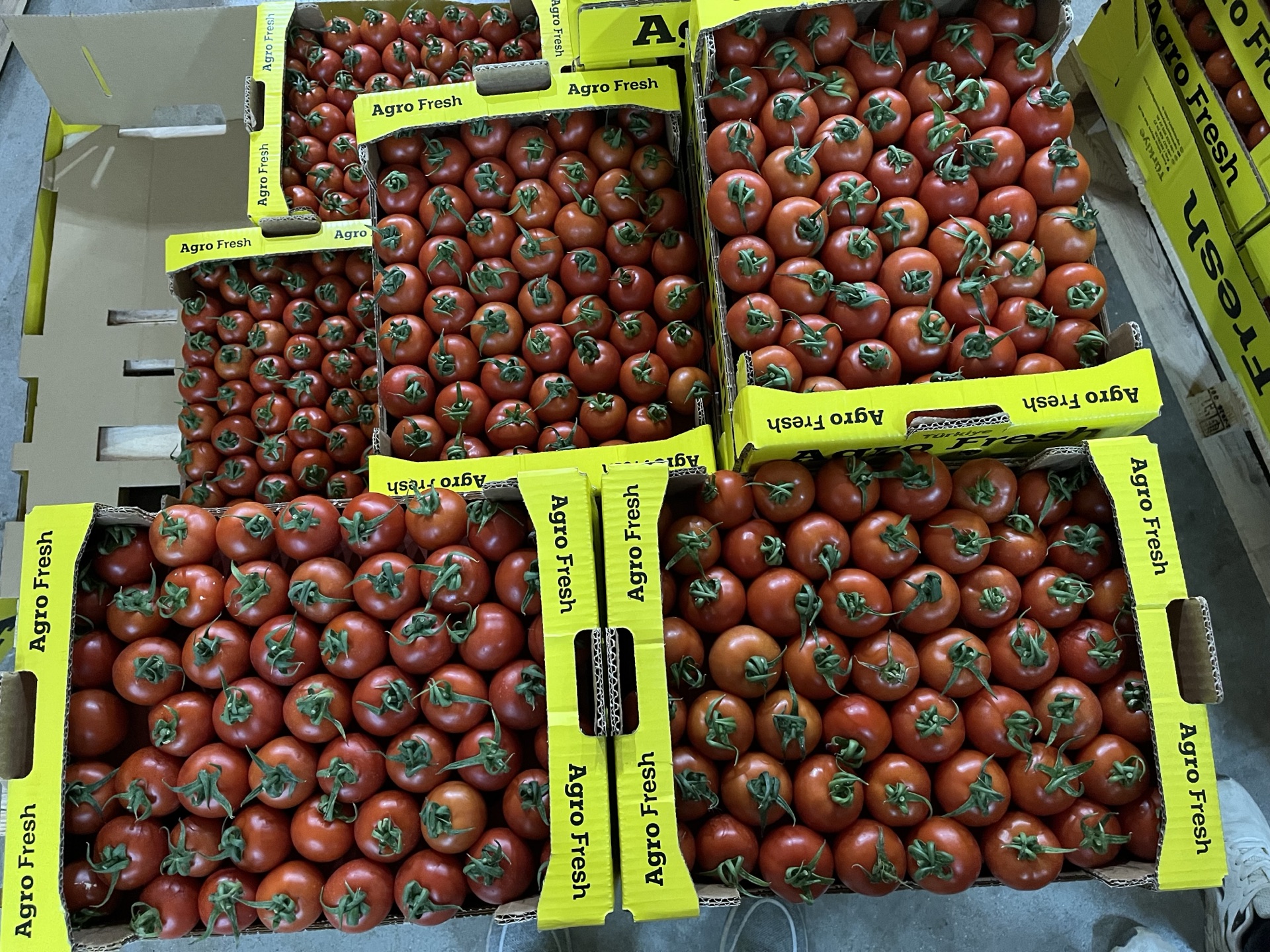 Agro Seracilik Packing
