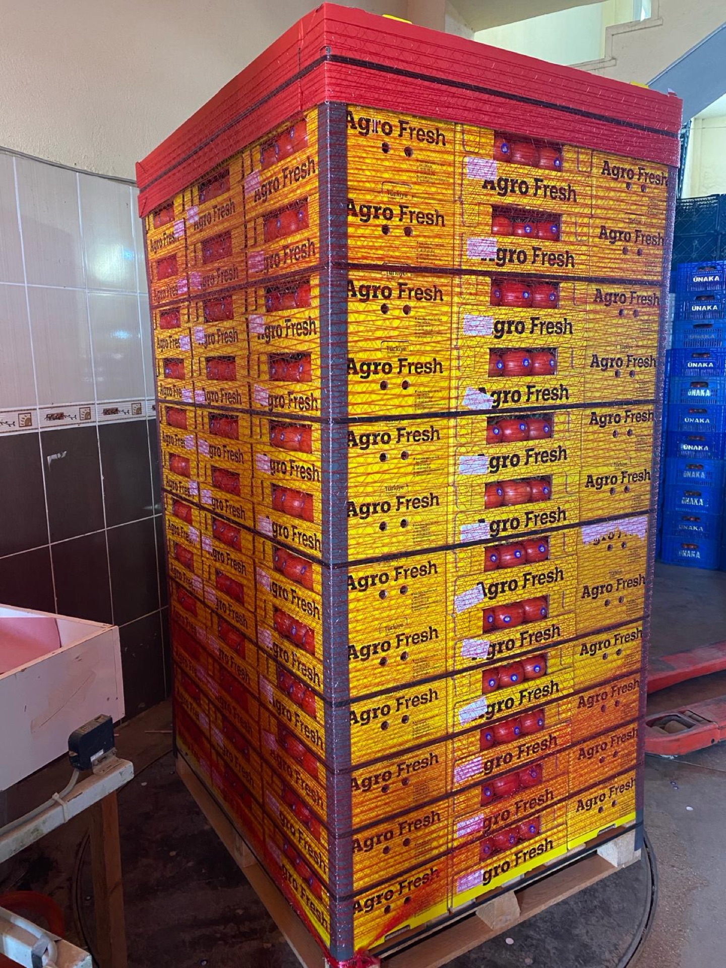 Export Ready