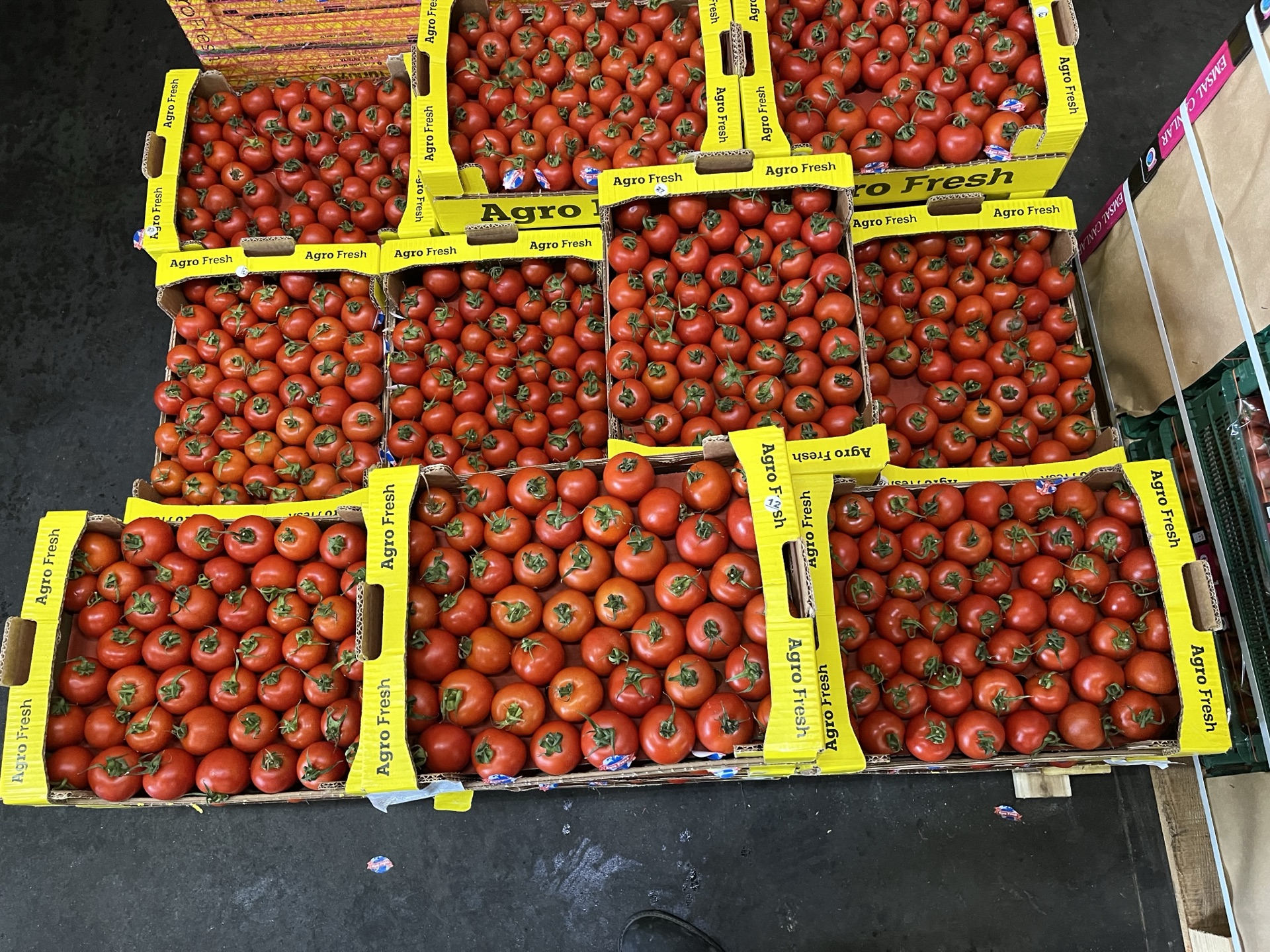 Agro Seracılık